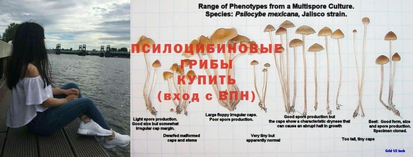 MESCALINE Приозерск